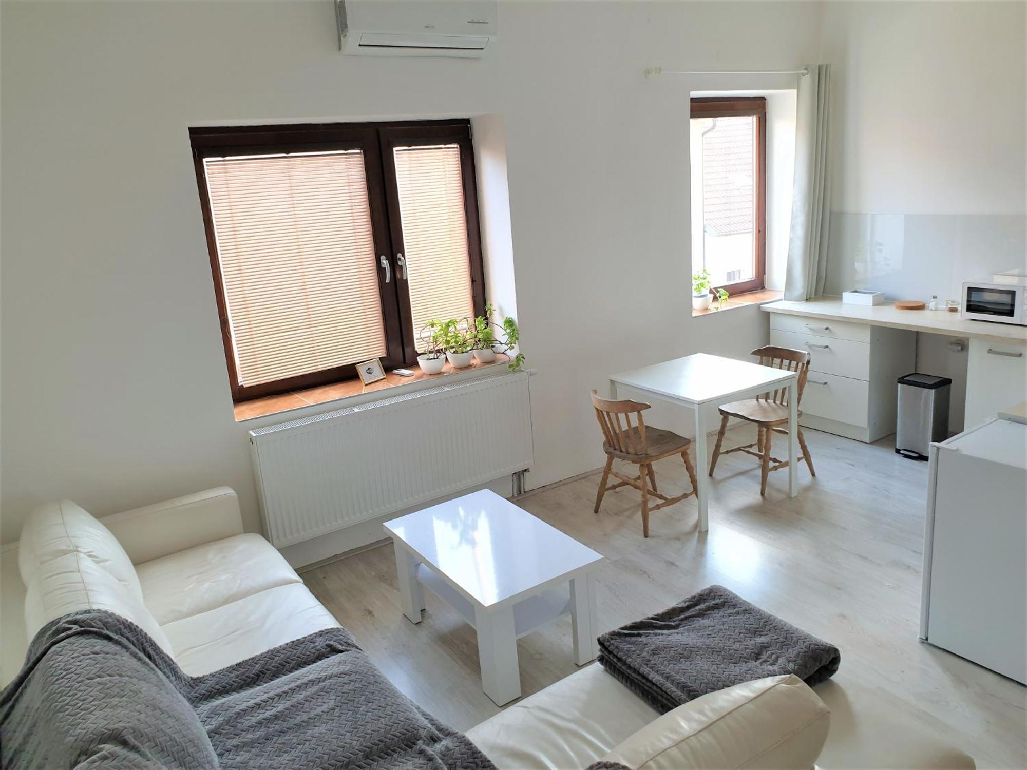 Brno Apartment المظهر الخارجي الصورة